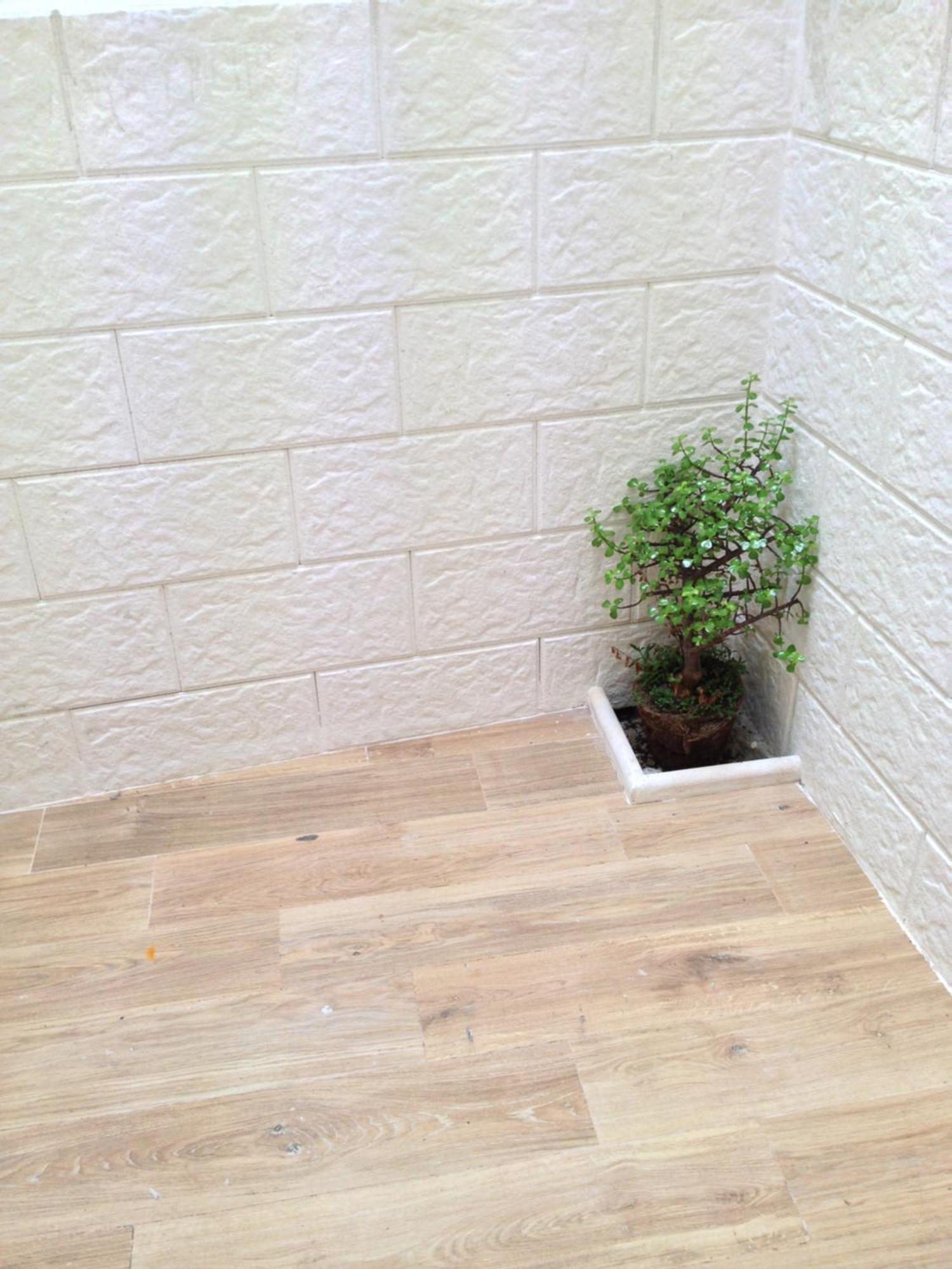 Casa Petra - Mini Open Space Lejlighed Brindisi Eksteriør billede